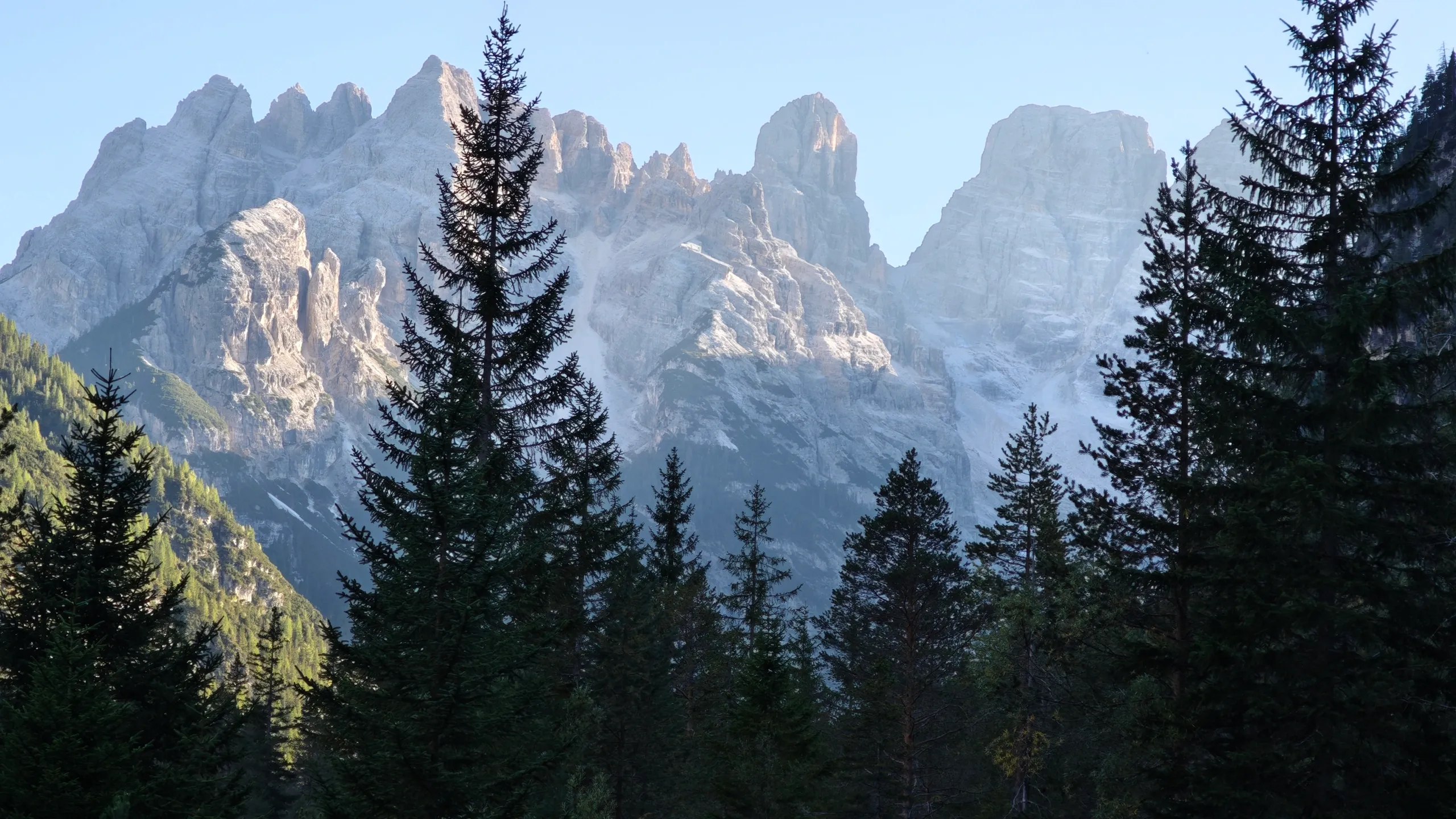 Os picos majestosos das Dolomitas e a densa floresta de pinheiros, o cenário que emoldura cada quilômetro do nosso transfer.